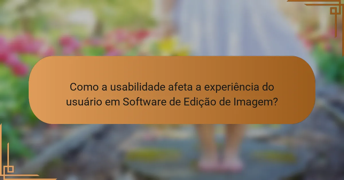 Como a usabilidade afeta a experiência do usuário em Software de Edição de Imagem?