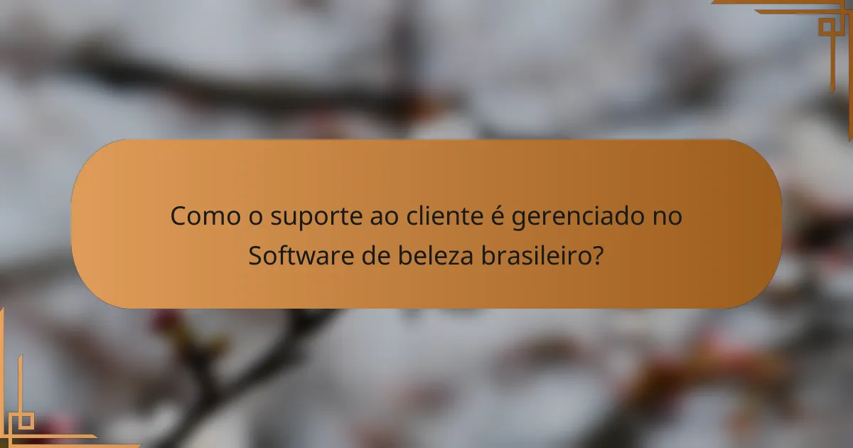 Como o suporte ao cliente é gerenciado no Software de beleza brasileiro?