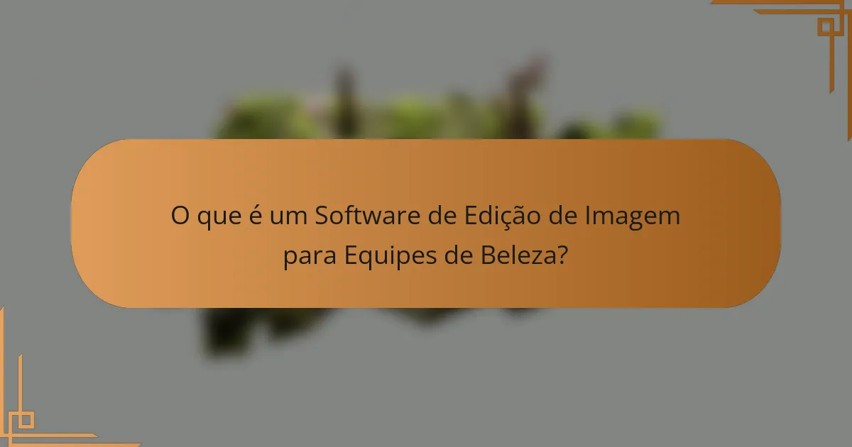 O que é um Software de Edição de Imagem para Equipes de Beleza?