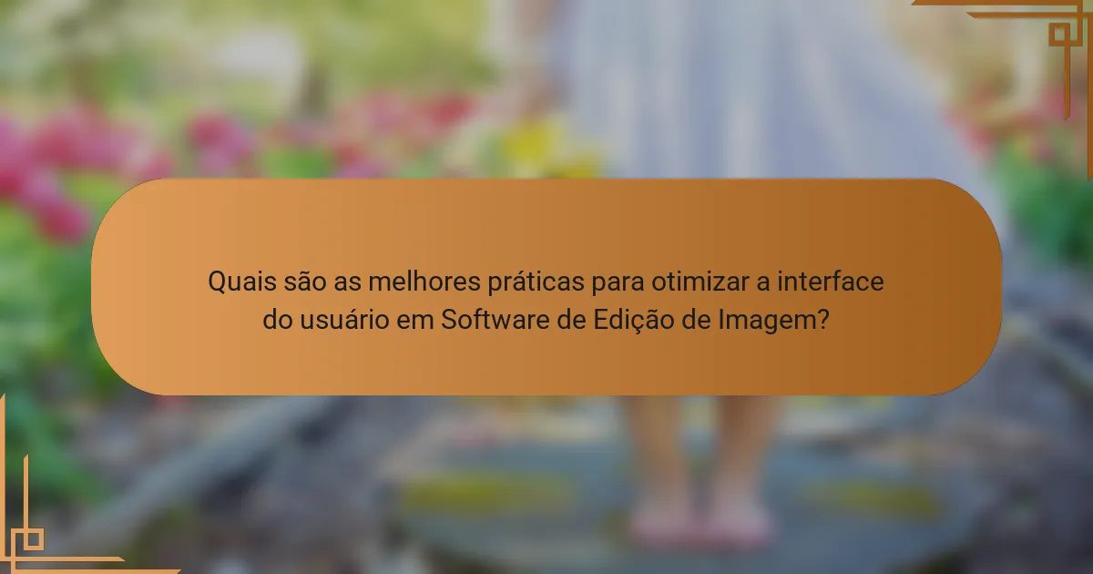Quais são as melhores práticas para otimizar a interface do usuário em Software de Edição de Imagem?